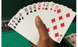 How many cards are dealt Rummy Bo rummy?